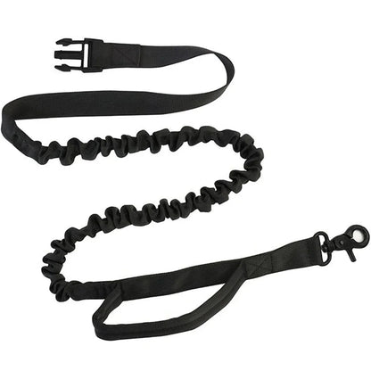 Dog Running Waist Leash