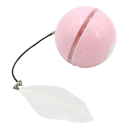 USB Rechargeable Cat Ball for a Kitten
