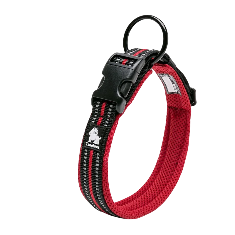 Dog Walking Collar Comfort Padded with Buckle Nylon