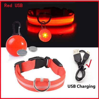 Usb Charging Glowing Dog Collar With Pendant Detachable , Luxury Led Light Bright For Small Dogs Night Safety Collar Wholesale