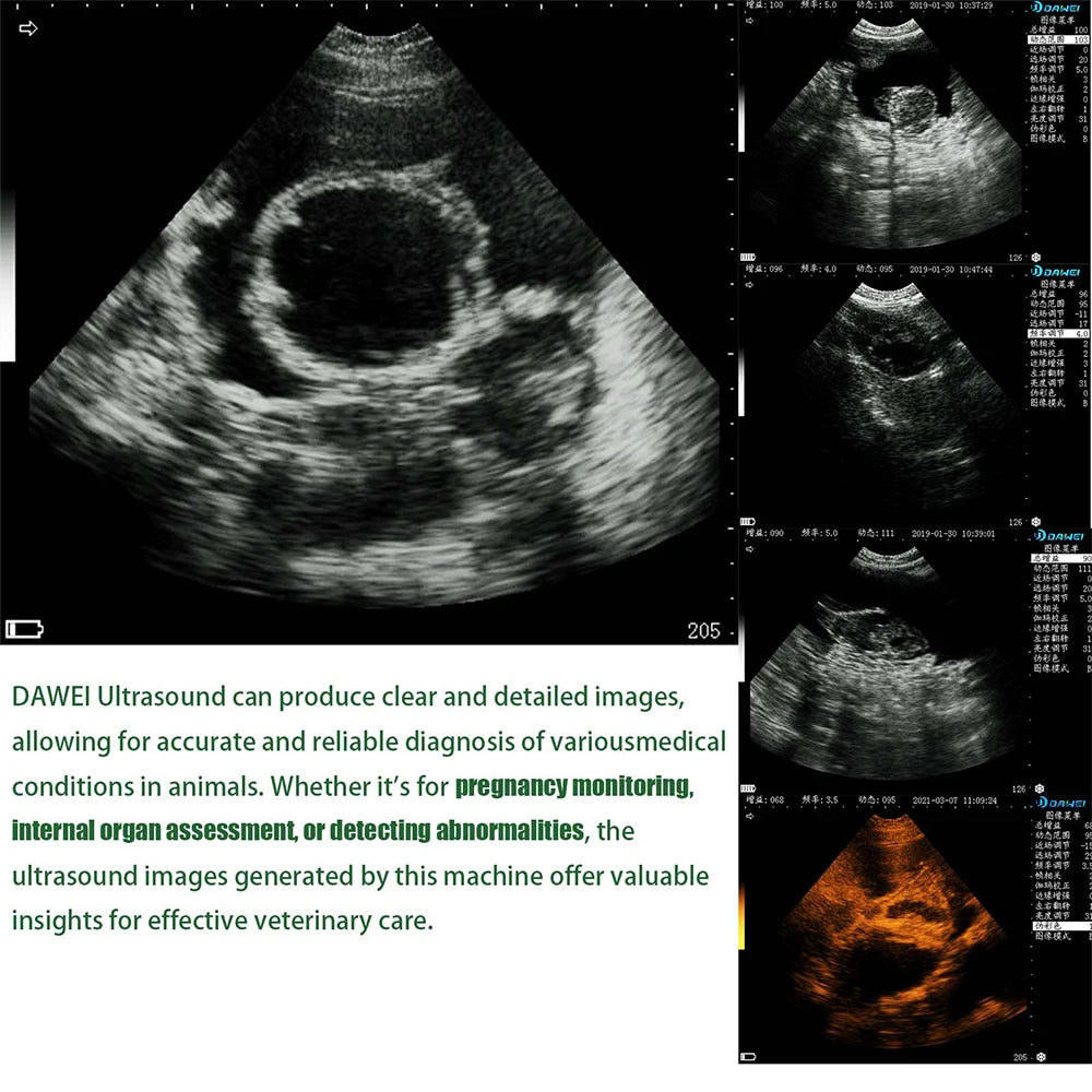 Portable Veterinary Ultrasound Scanner for Pregnancy Vet B Ultra Machine with 3.5MHz Convex Probe for Pig Sheep Dog Animals