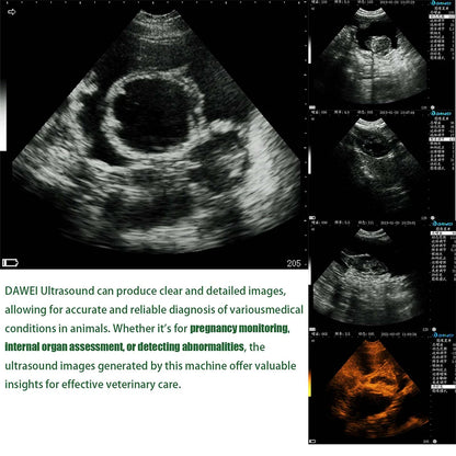 Portable Veterinary Ultrasound Scanner for Pregnancy Vet B Ultra Machine with 3.5MHz Convex Probe for Pig Sheep Dog Animals