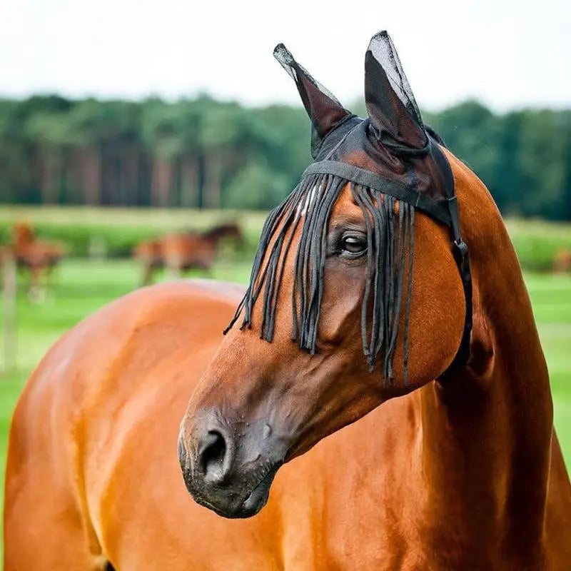 Horse Fly Cover With Ear Mesh With Tassels