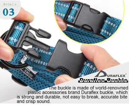 Dog Walking Collar Comfort Padded with Buckle Nylon