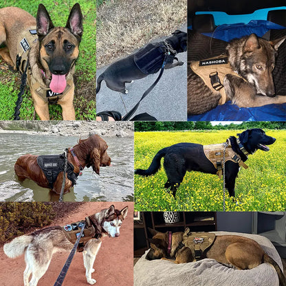Large Dog Harness Training Vests and Tactic Collar Leash