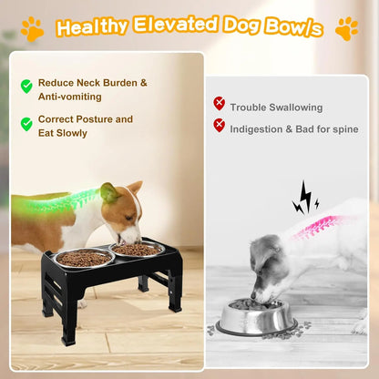 Adjustable Height Elevated Dog Bowls for Small Medium Dogs, 3-Level Stand with 2 Stainless Steel Bowls, Non-Slip Feeder in Black