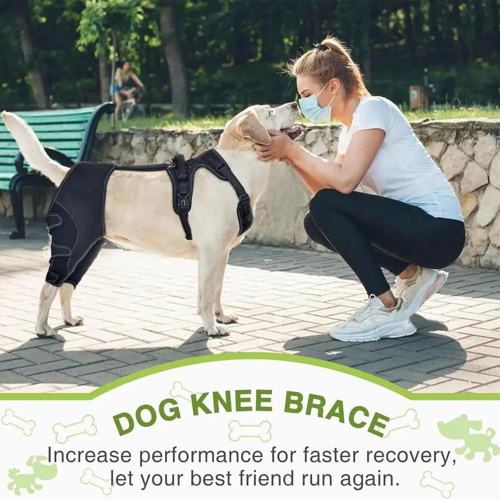 Dog Knee Brace