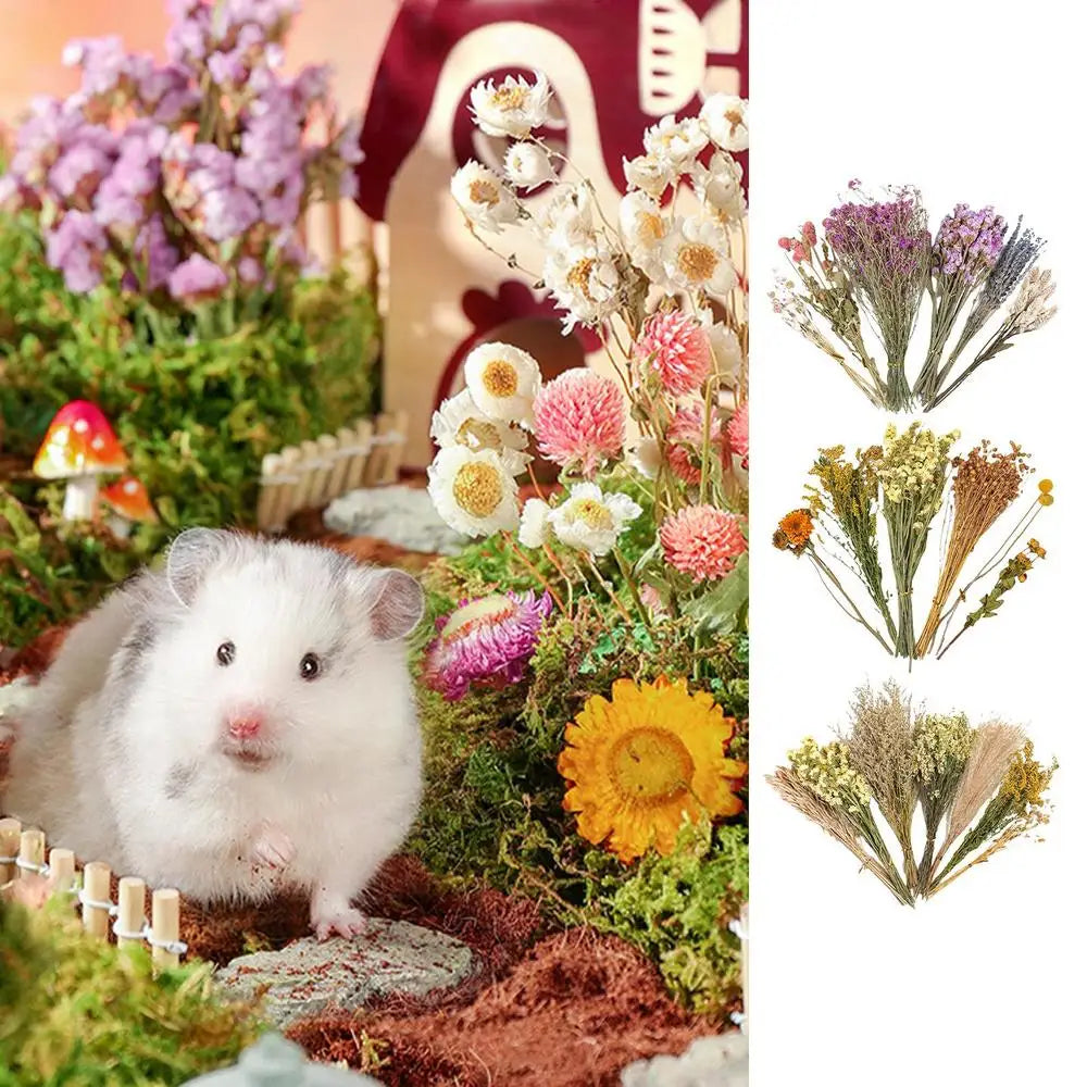 Nature Flower Herb Hamster Bedding, Decor Hamster Cage,  Supplies For Hamsters,  Gerbil,  Rabbits, or Other Small Pets