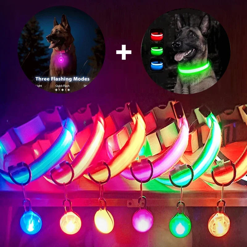 Usb Charging Glowing Dog Collar With Pendant Detachable , Luxury Led Light Bright For Small Dogs Night Safety Collar Wholesale