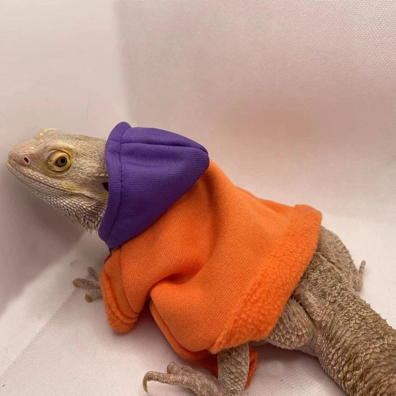 Bearded Dragon Sweater Jackets, Warm Coat Hoodies, Soft Touching Skin