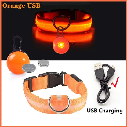 Usb Charging Glowing Dog Collar With Pendant Detachable , Luxury Led Light Bright For Small Dogs Night Safety Collar Wholesale