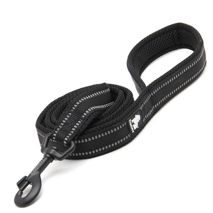 Dog Leash with Padded Handle Training