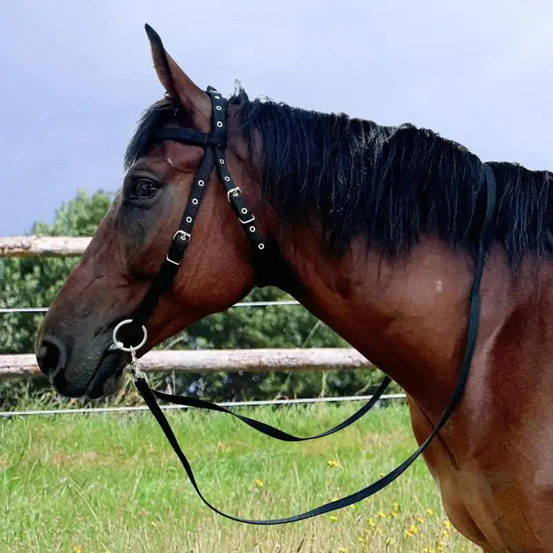 Adjustable Horse Halter Throat Latch For Horse Bridle With 3 Buckles