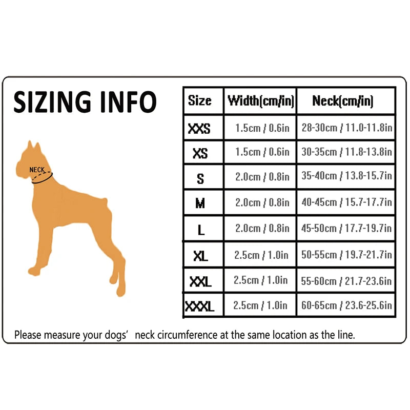 Dog Walking Collar Comfort Padded with Buckle Nylon