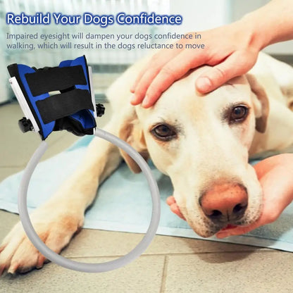 Blind Dog Anti-collision Collar, Protective Vest, Blind Dog Guiding Harness, Training Behavior