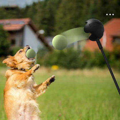 Pole Pet Throwing Stick and ball