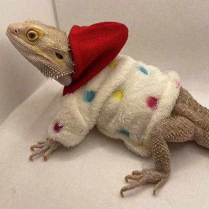 Bearded Dragon Sweater Jackets, Warm Coat Hoodies, Soft Touching Skin