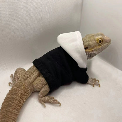 Bearded Dragon Sweater Jackets, Warm Coat Hoodies, Soft Touching Skin