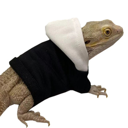 Bearded Dragon Sweater Jackets, Warm Coat Hoodies, Soft Touching Skin